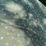 Feuilles vert foret